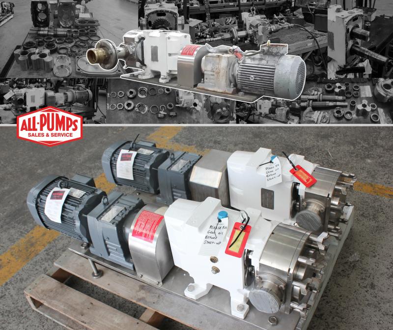 Two Jabsco Lobe Pumps that have been overhauled and refurbished.