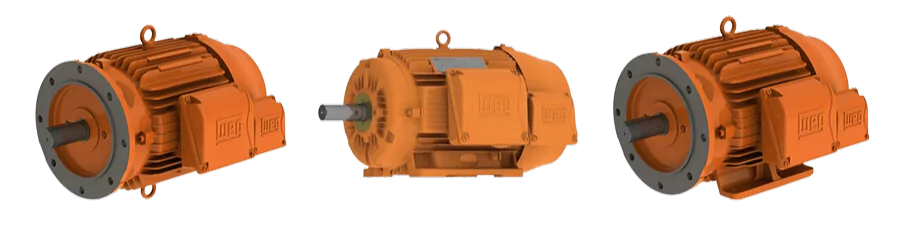 WEG Electric Motors W22 Mining Motors