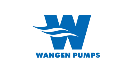Wangen Pumps