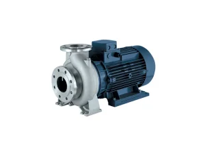 Ebara pump with a blue electric motor